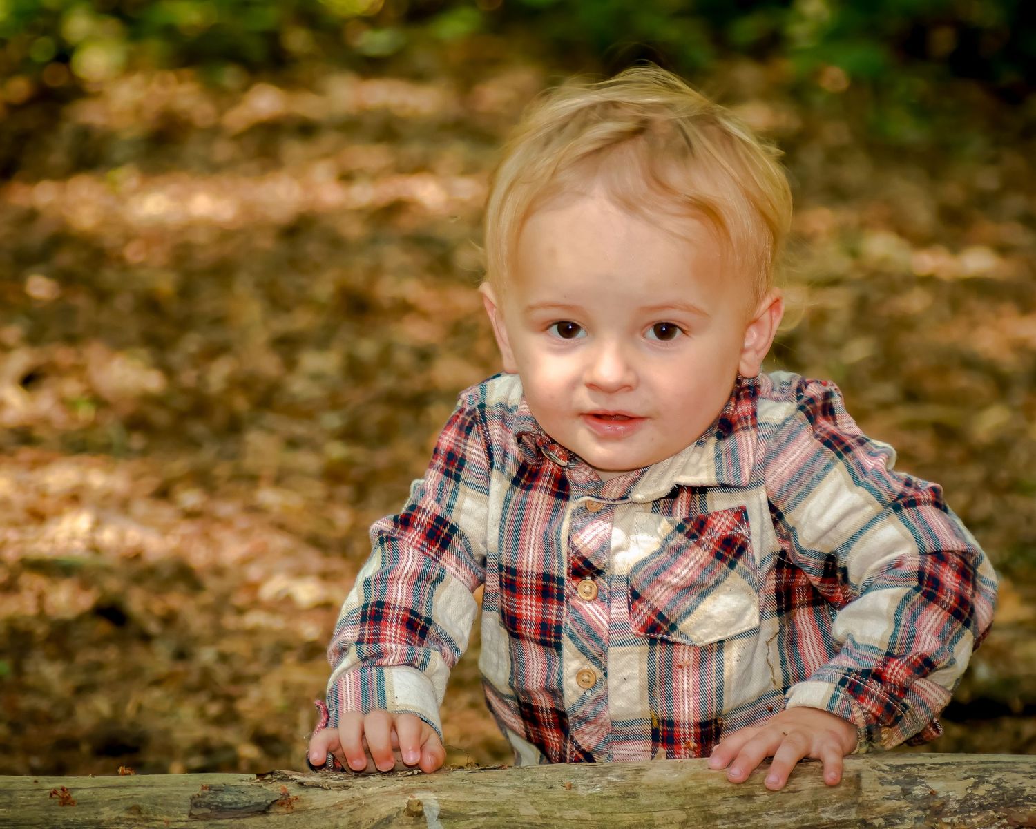 Adorable blonde toddler boy in plaid shirt leaning on a wooden surface in autumn woods.