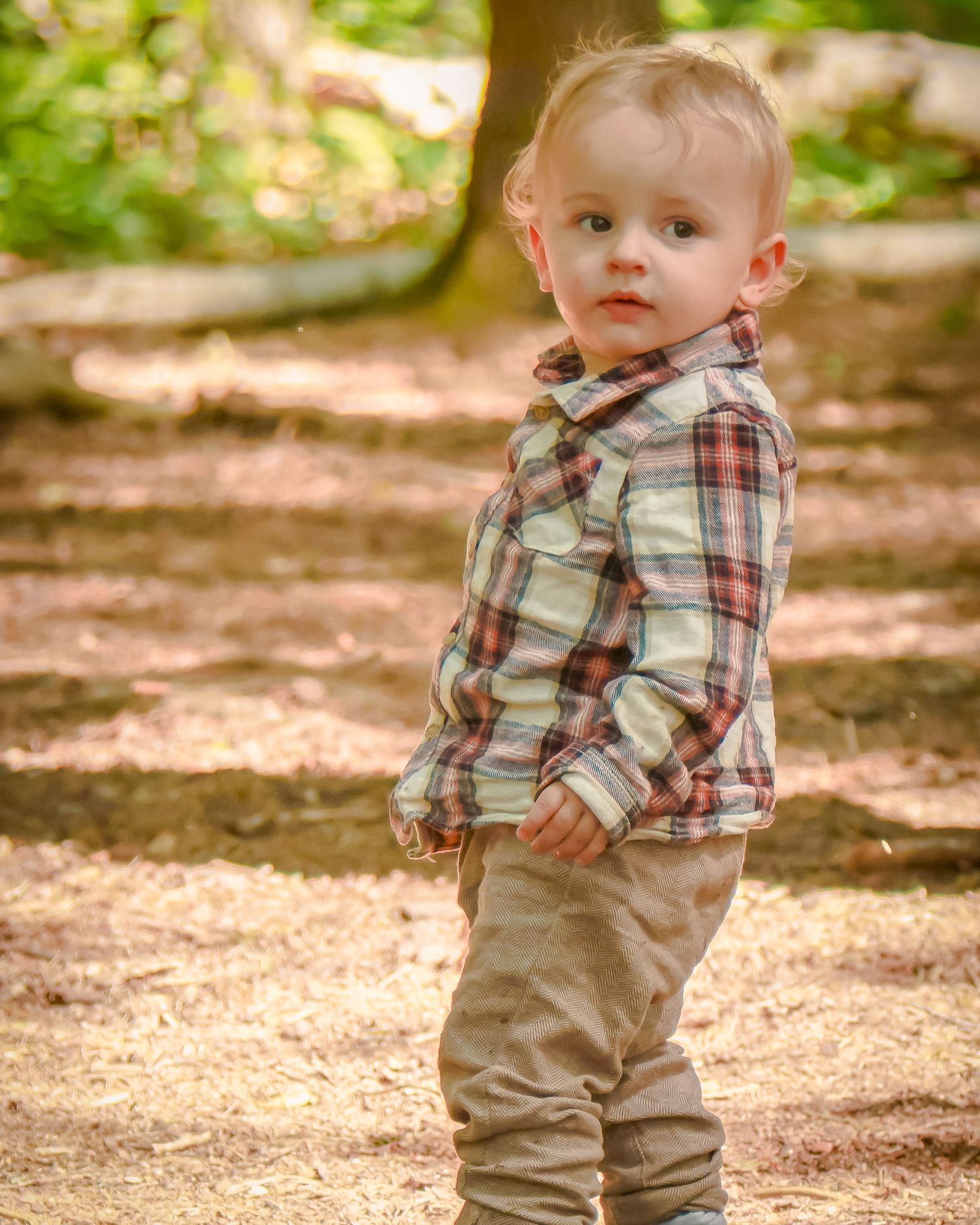 Toddler boy in plaid shirt and khaki pants standing outdoors in a wooded park setting.