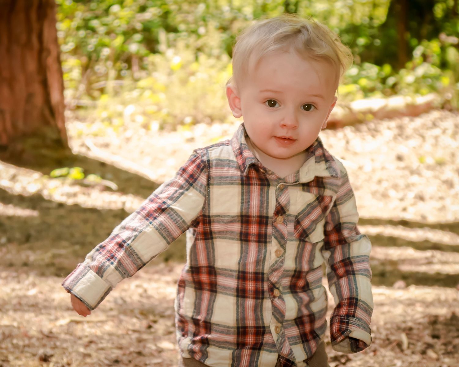 Cute blonde toddler boy in a plaid shirt walking outdoors in a sunlit wooded area.
