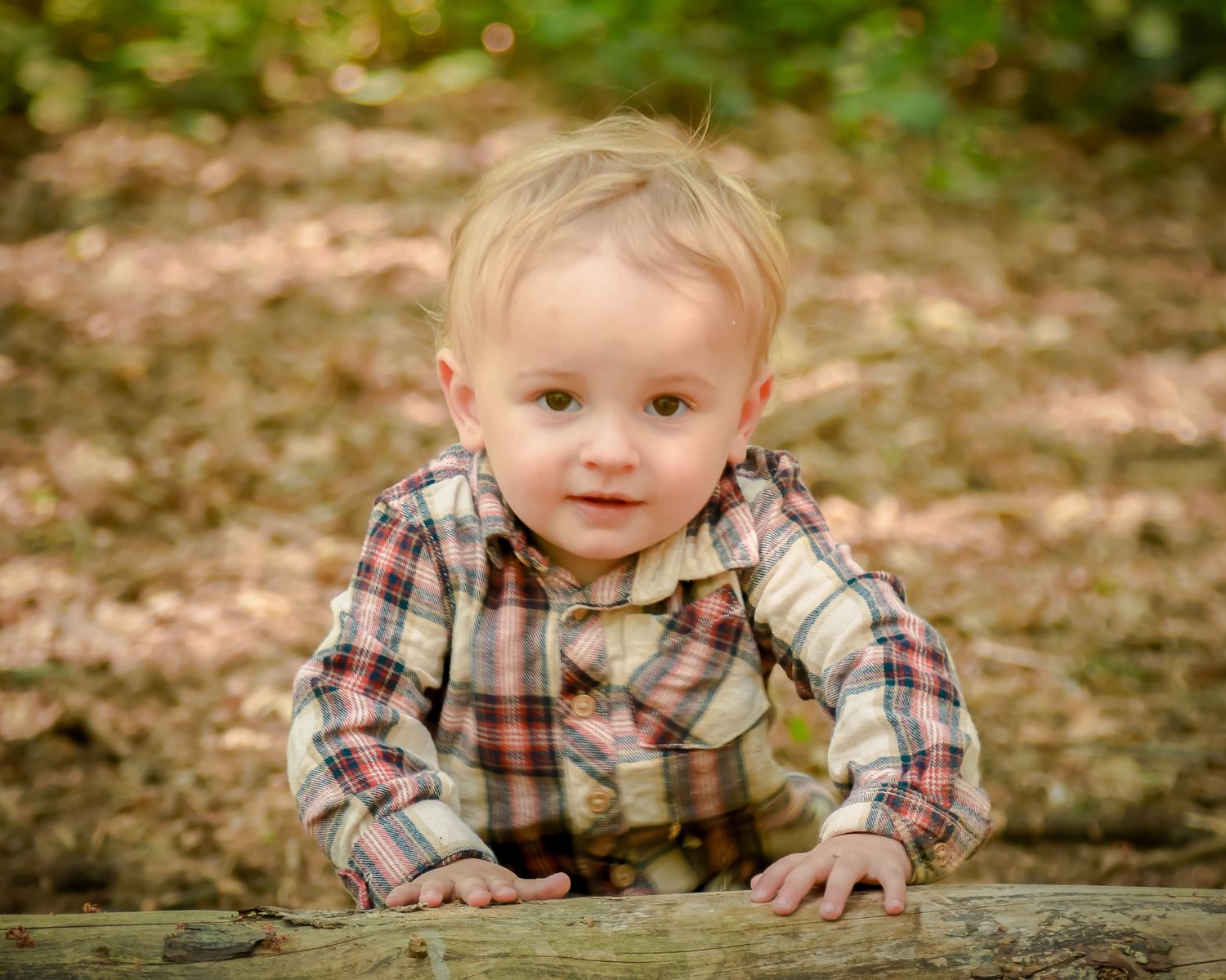 Sweet blonde toddler boy in a plaid shirt crawling on a log in an autumn forest setting.