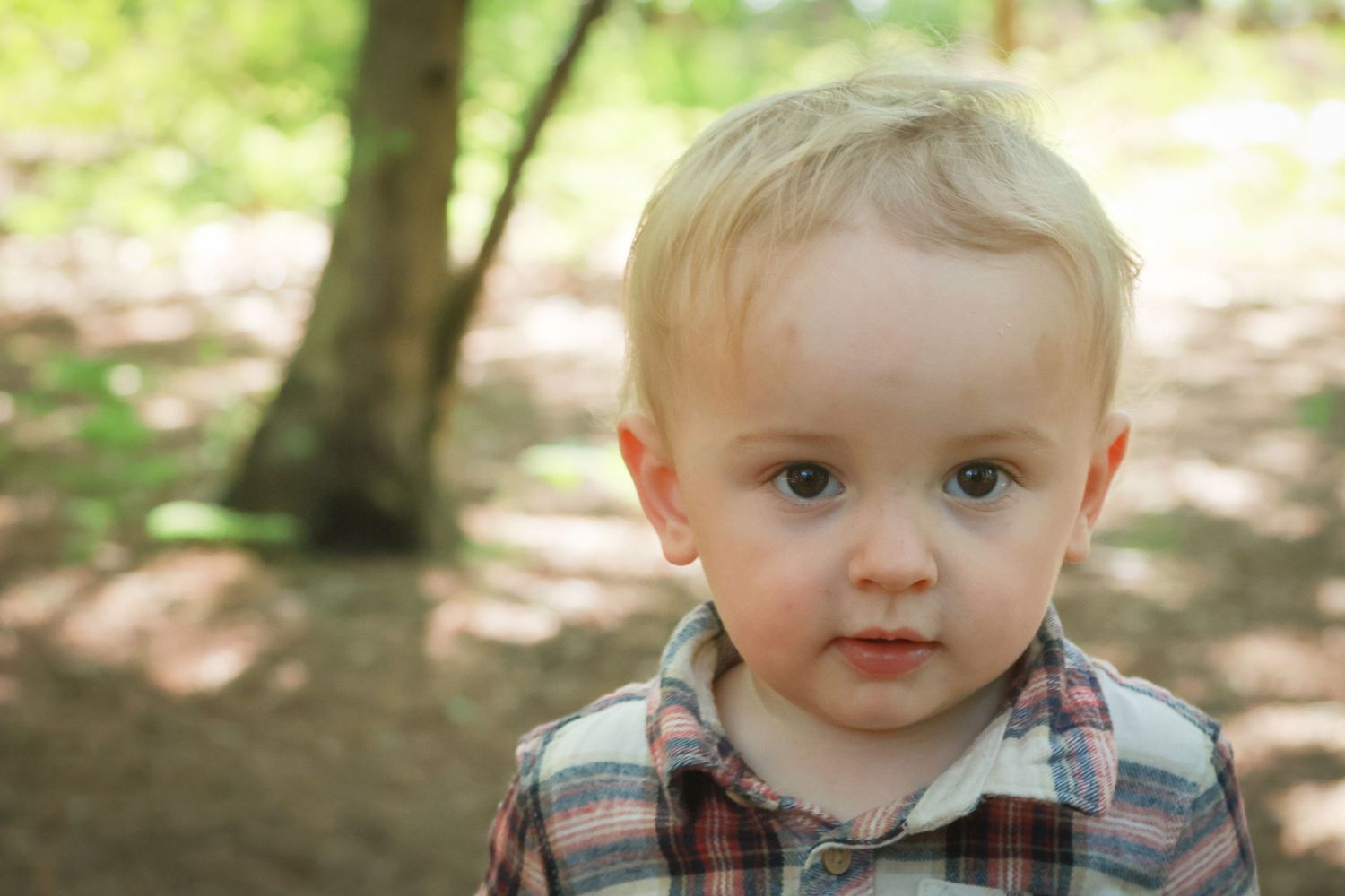 Close-up portrait of a blonde toddler boy in a plaid shirt standing outdoors in a park.