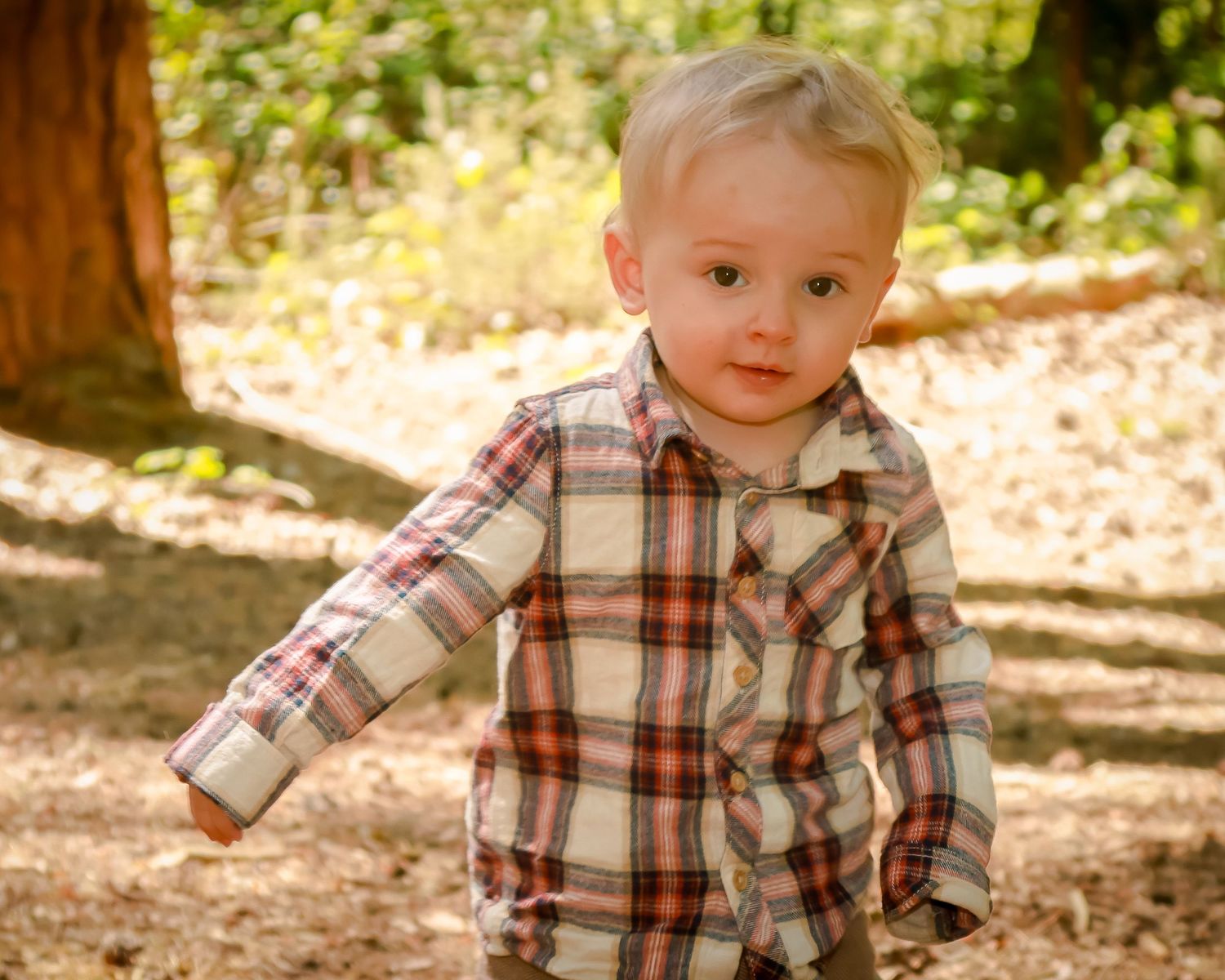 Cute blonde toddler boy wearing a plaid flannel shirt walking outdoors in a sunny forest.