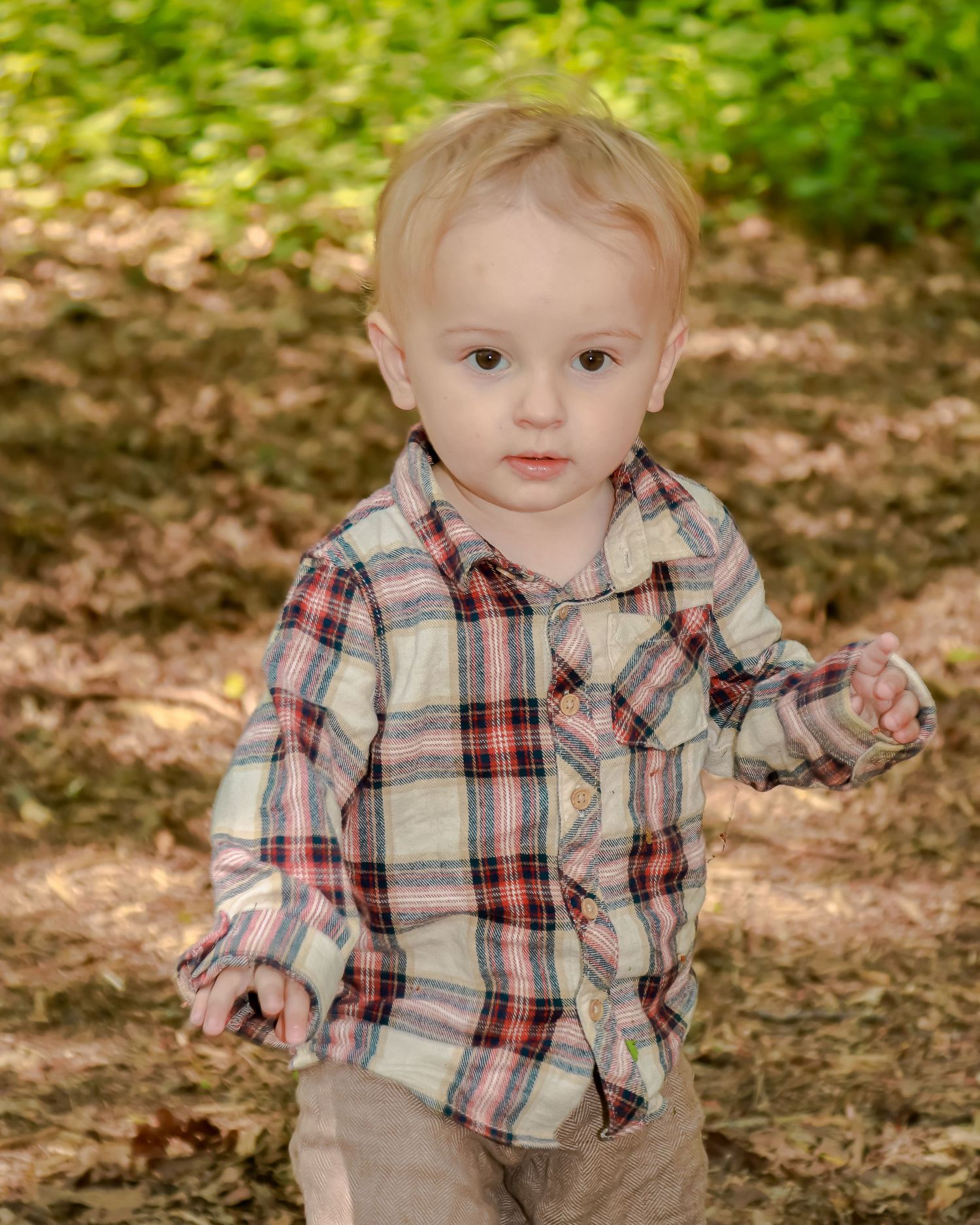 Cute blonde toddler boy in a plaid shirt standing in a sunlit wooded outdoor setting.