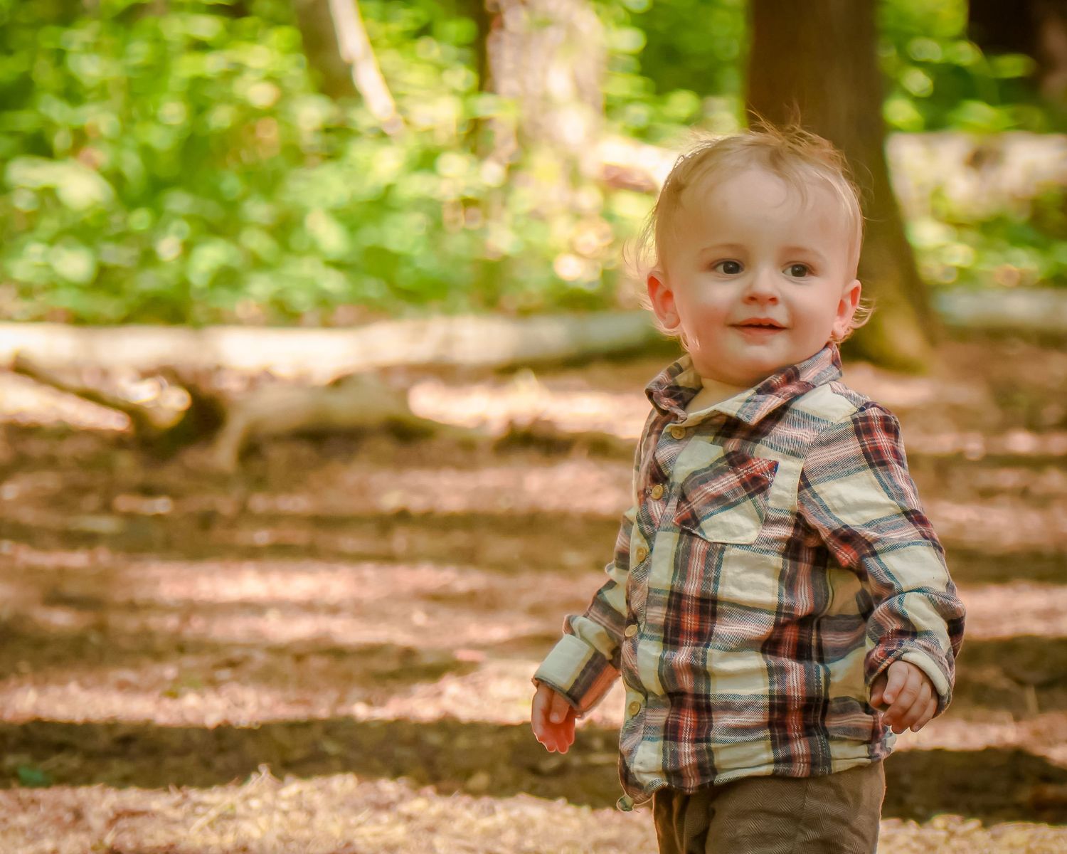 Happy blonde toddler boy in a plaid shirt smiling while walking in a sunny forest.