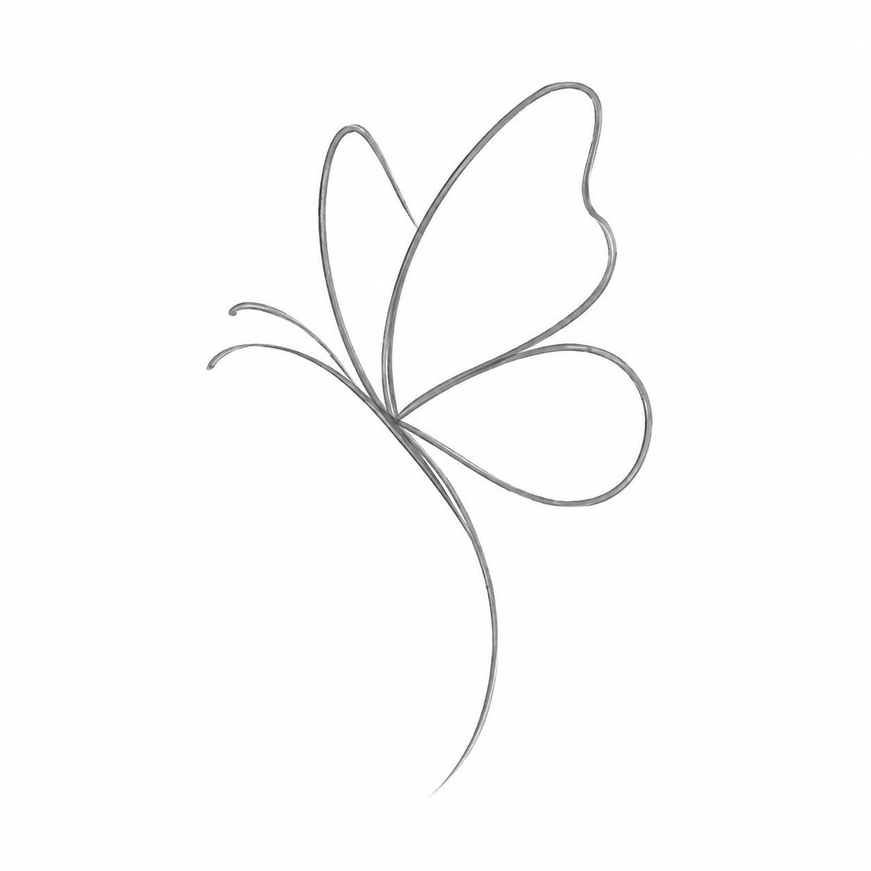 Minimalist line art drawing of a delicate butterfly in gray on white background.