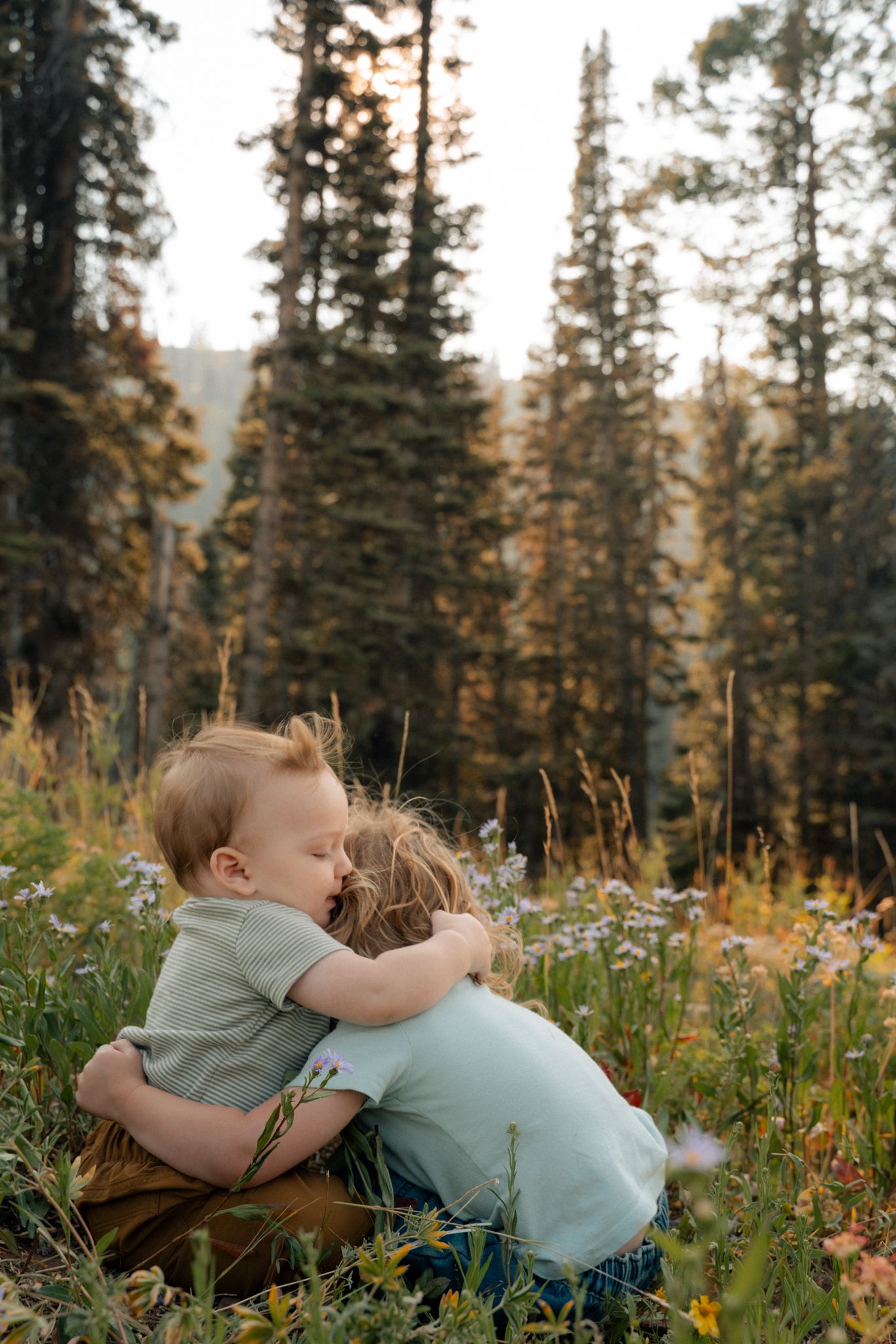 Two young siblings sharing a tender hug in a wildflower meadow with pine forest background.