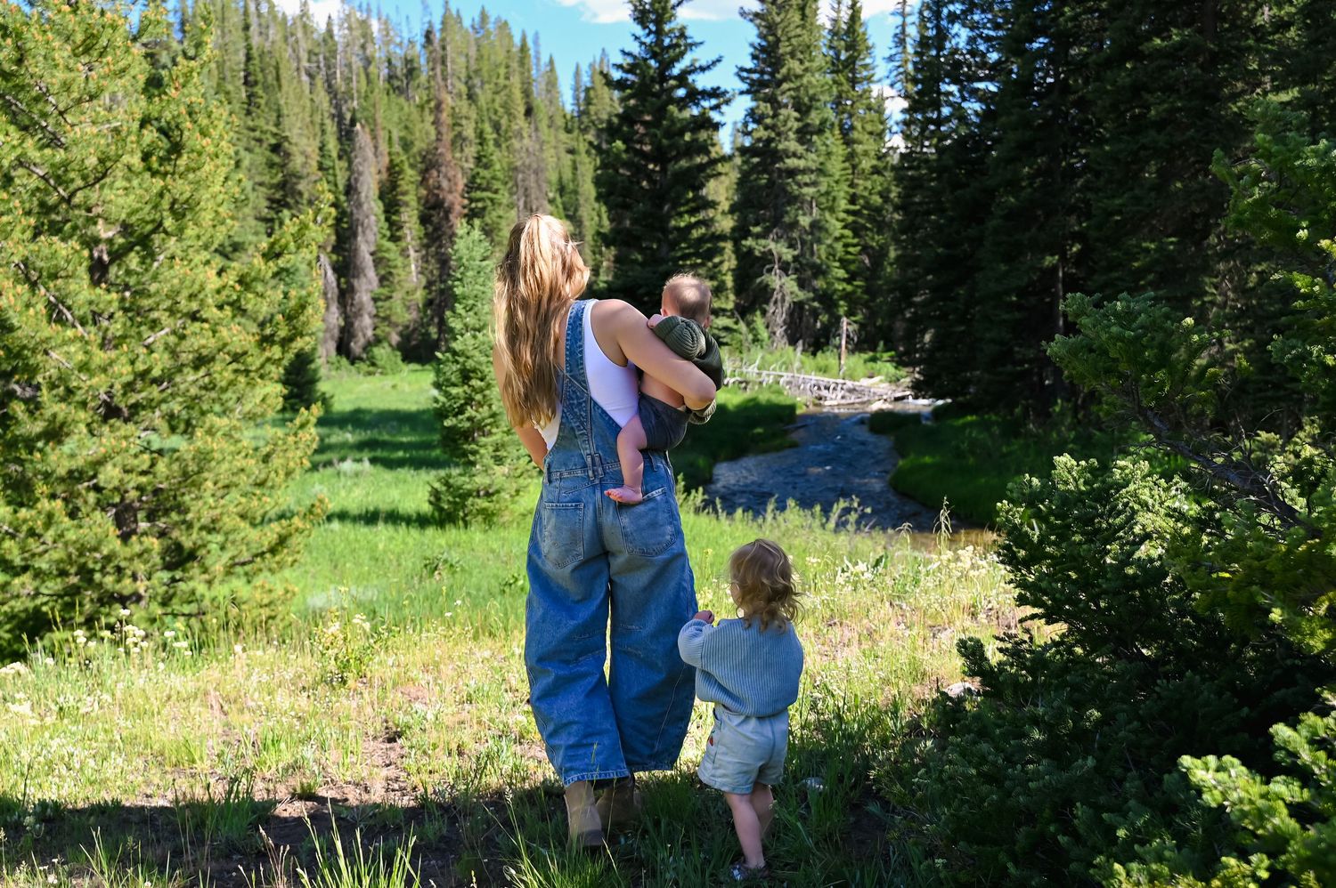A mother holds her baby while a toddler stands beside her overlooking a scenic mountain stream surrounded by pine trees.
