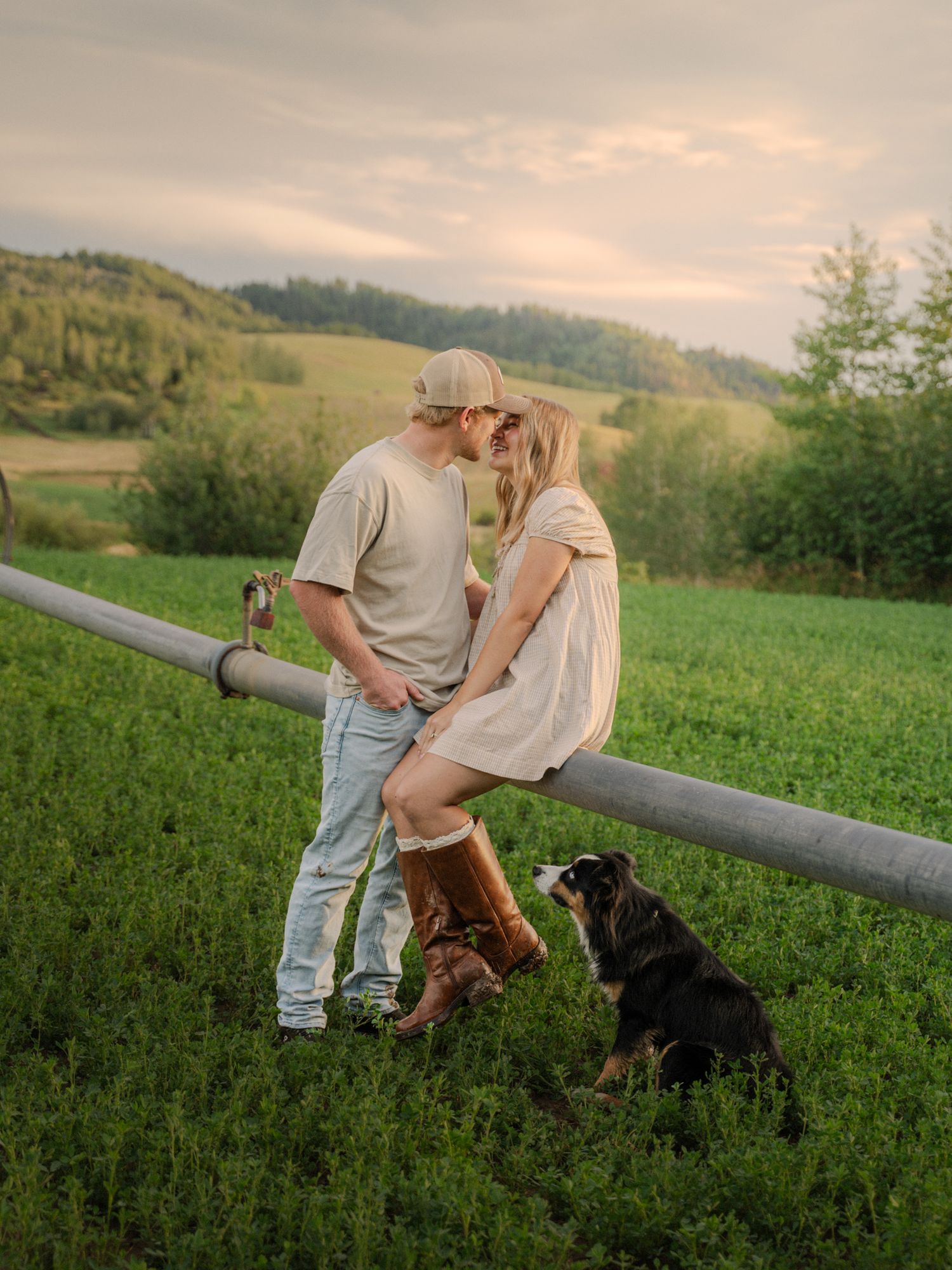 Couple sharing a romantic moment on a farm fence with their Bernese Mountain Dog in a lush green countryside.