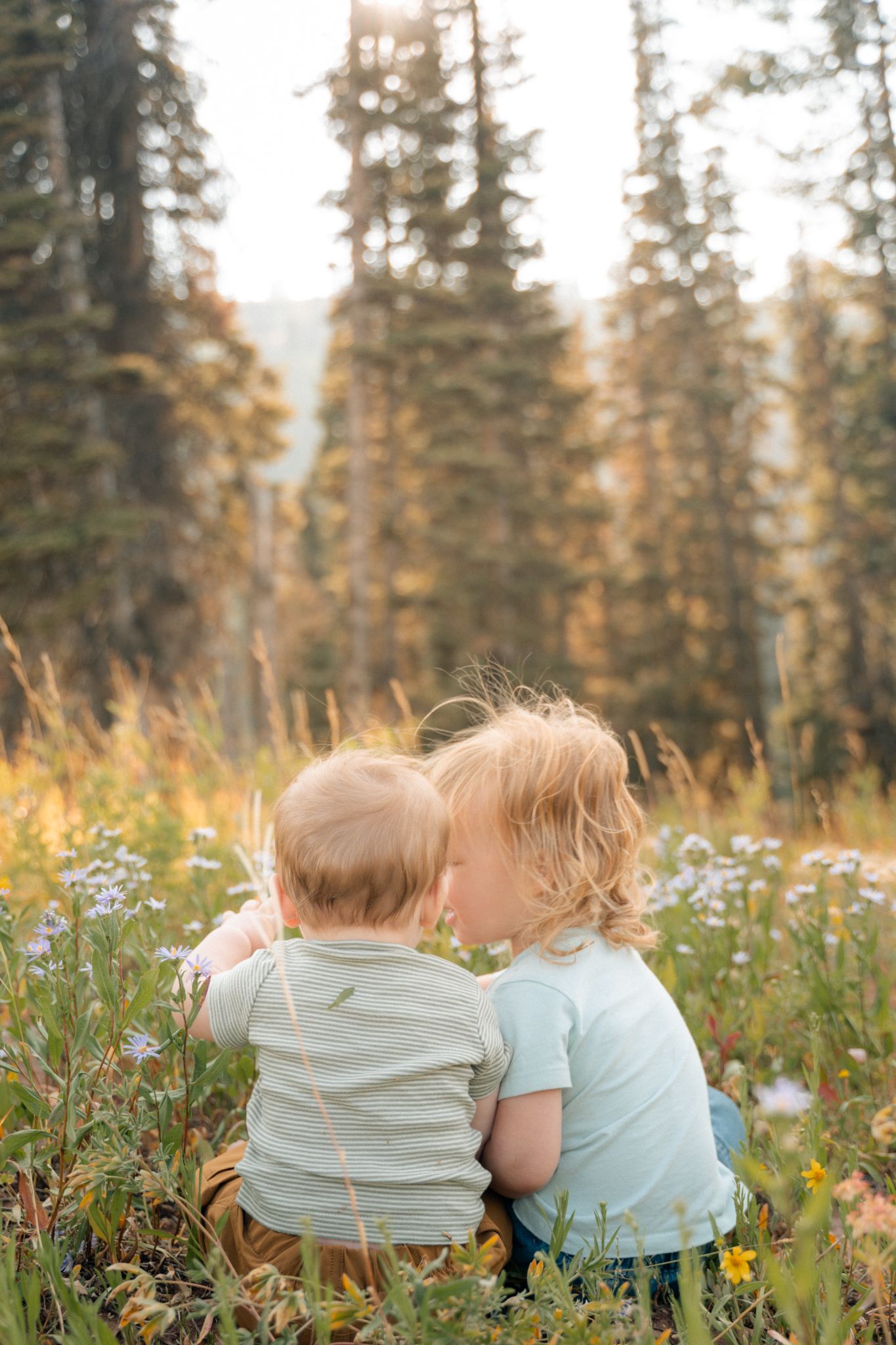 Two young siblings sit together in a sunny wildflower meadow surrounded by tall pine trees.