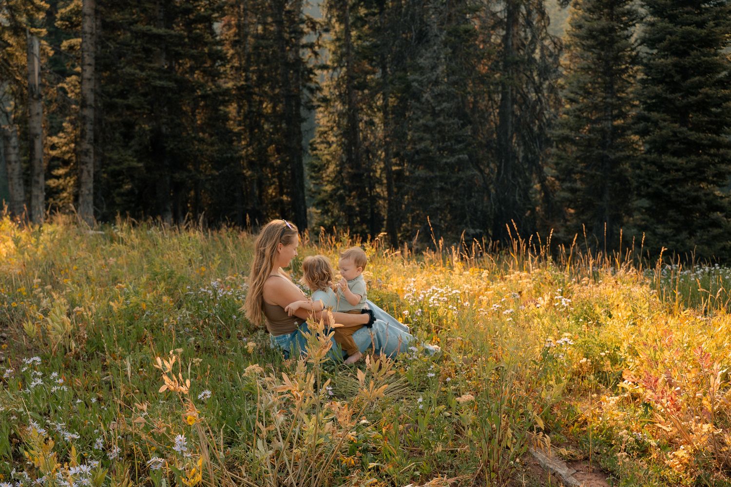 Mother sitting with young child in golden wildflower meadow surrounded by tall pine trees at sunset.