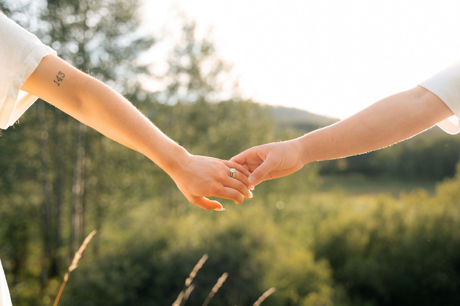 Two people holding hands in a sunlit outdoor setting with green trees.