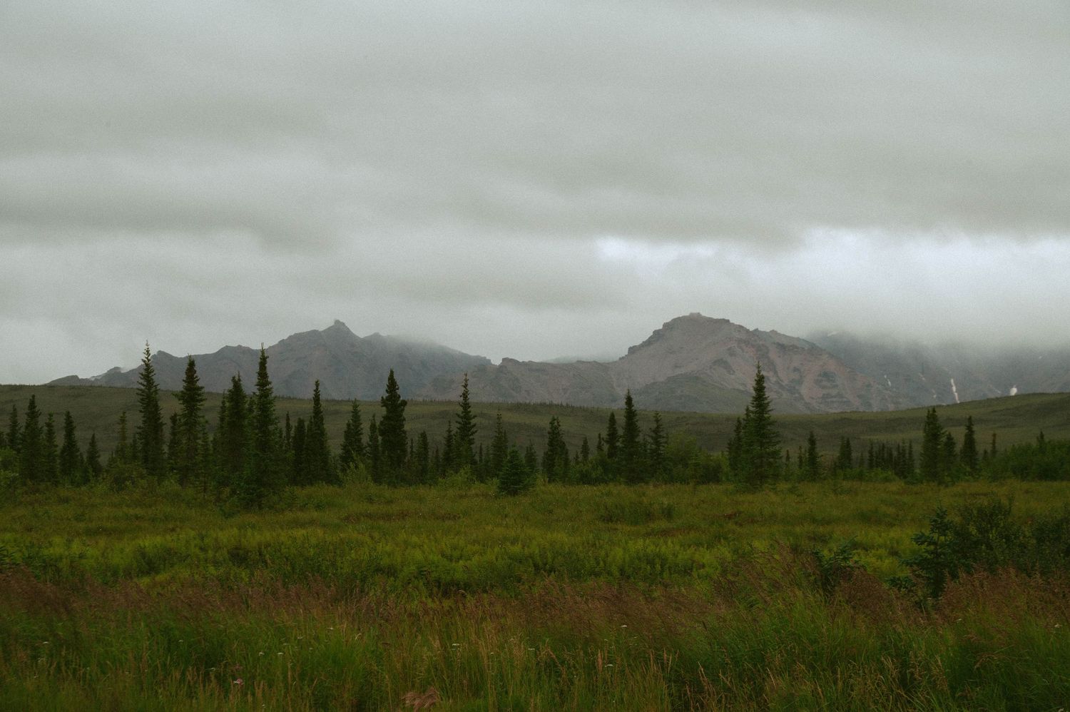 Overcast sky over a vast Alaskan wilderness with spruce trees, green tundra meadows, and misty mountain peaks in the background.