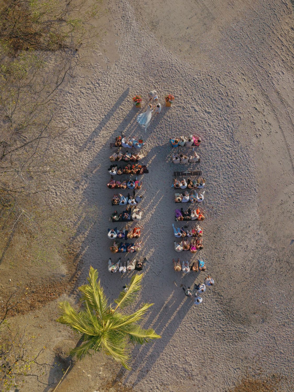 Aerial drone view of a large group of people arranged in two rows on a sandy beach near a palm tree in costa rica