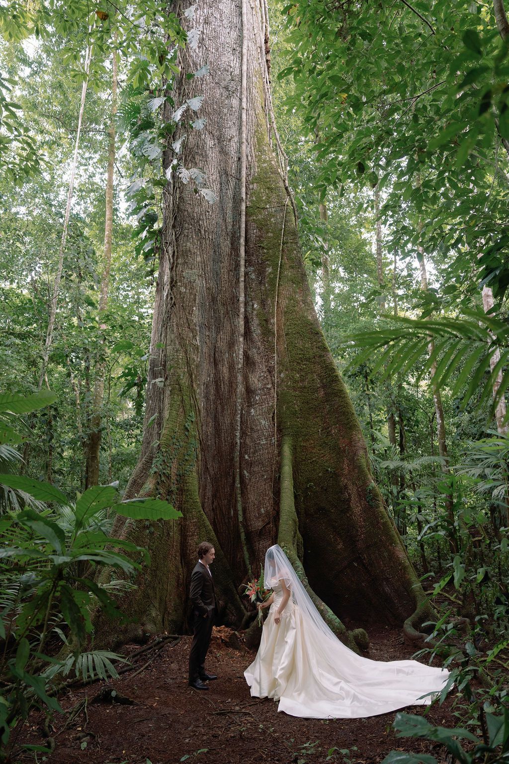 Couple standing beneath a massive rainforest tree during their Costa Rica elopement