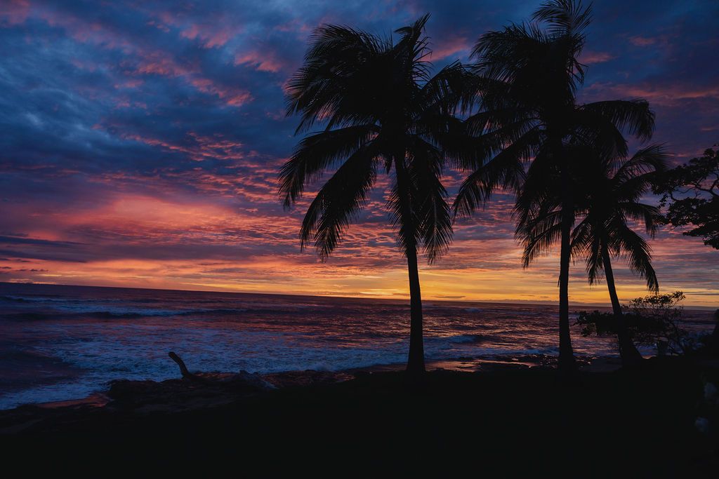Dramatic Pacific Ocean sunset framed by palm trees at Hacienda Pinilla