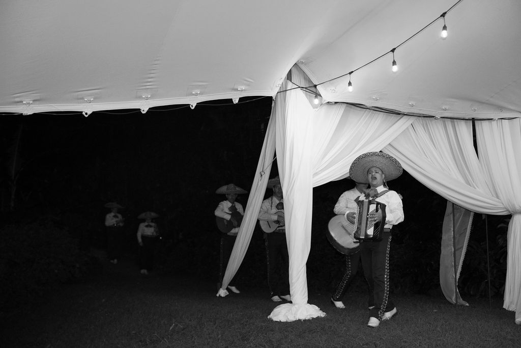 Mariachi musicians performing during a wedding reception in Monteverde, Costa Rica