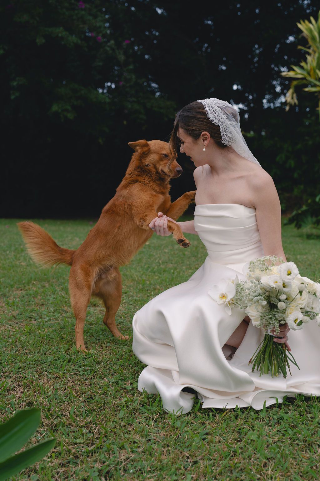 Bride sharing a playful moment with a dog during her wedding day in Monteverde
