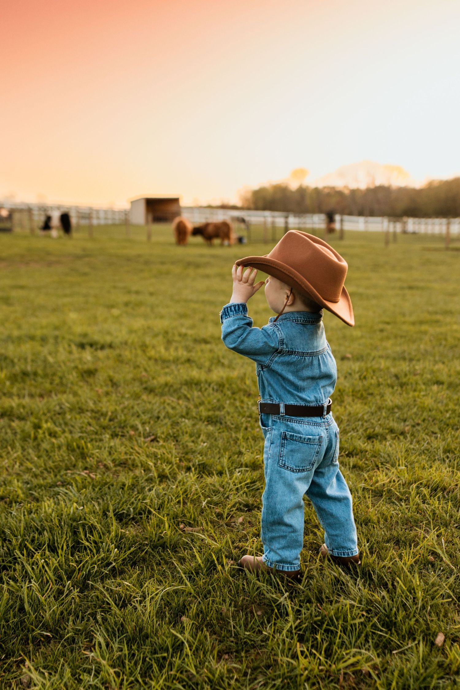 Toddler in denim outfit adjusts brown cowboy hat while standing in green farm field at sunset.