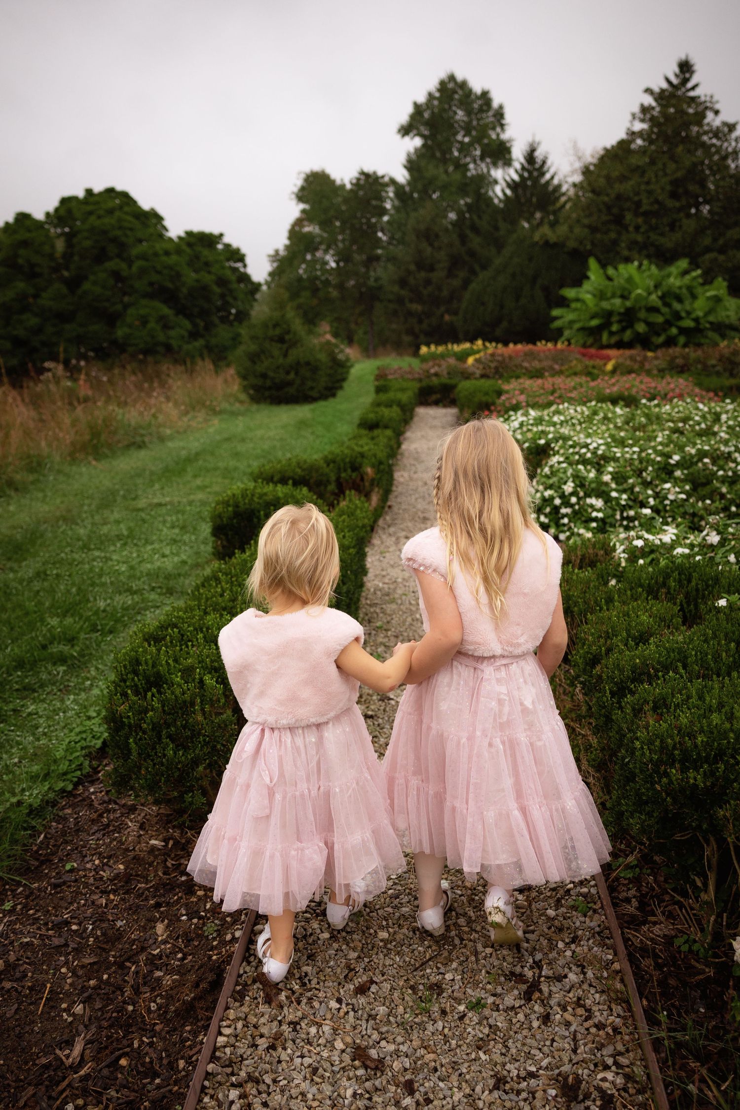 Two little girls in pink tulle dresses hold hands while walking down a gravel garden path lined with hedges and blooming flowers.