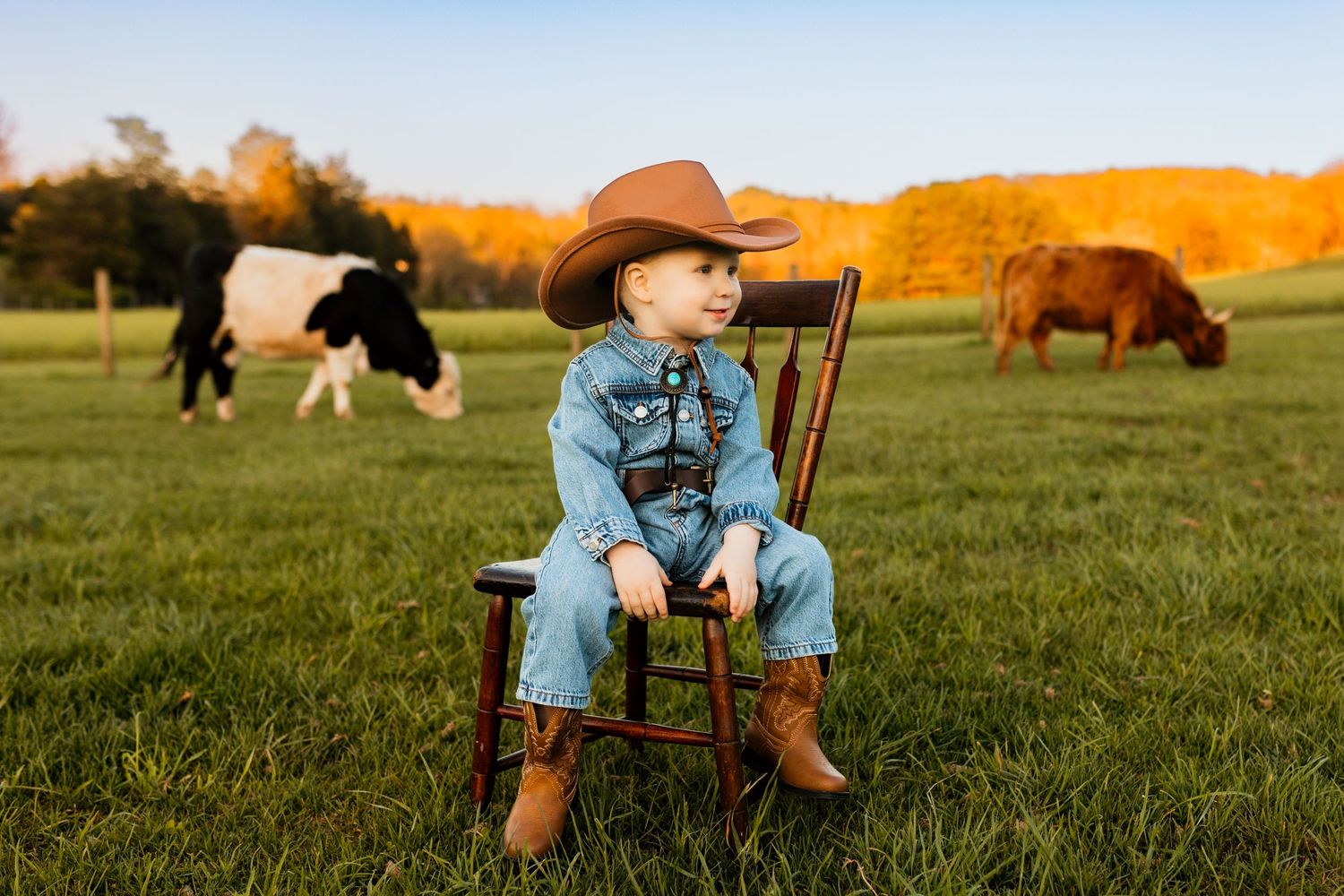 Toddler in cowboy hat and denim outfit sits on wooden chair in green pasture with grazing cows.