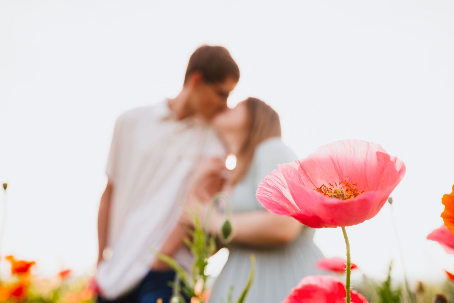 Couple kissing in a field of colorful poppy flowers with a pink bloom in sharp focus.