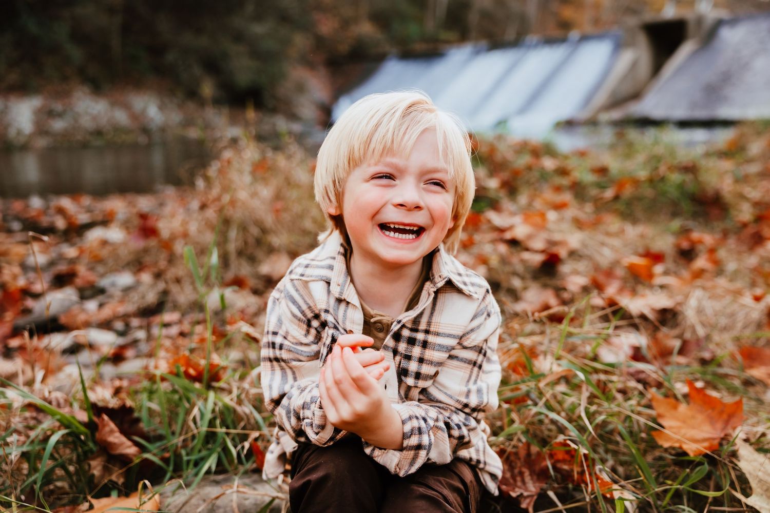 Happy blonde toddler boy laughing while sitting in autumn leaves outdoors.