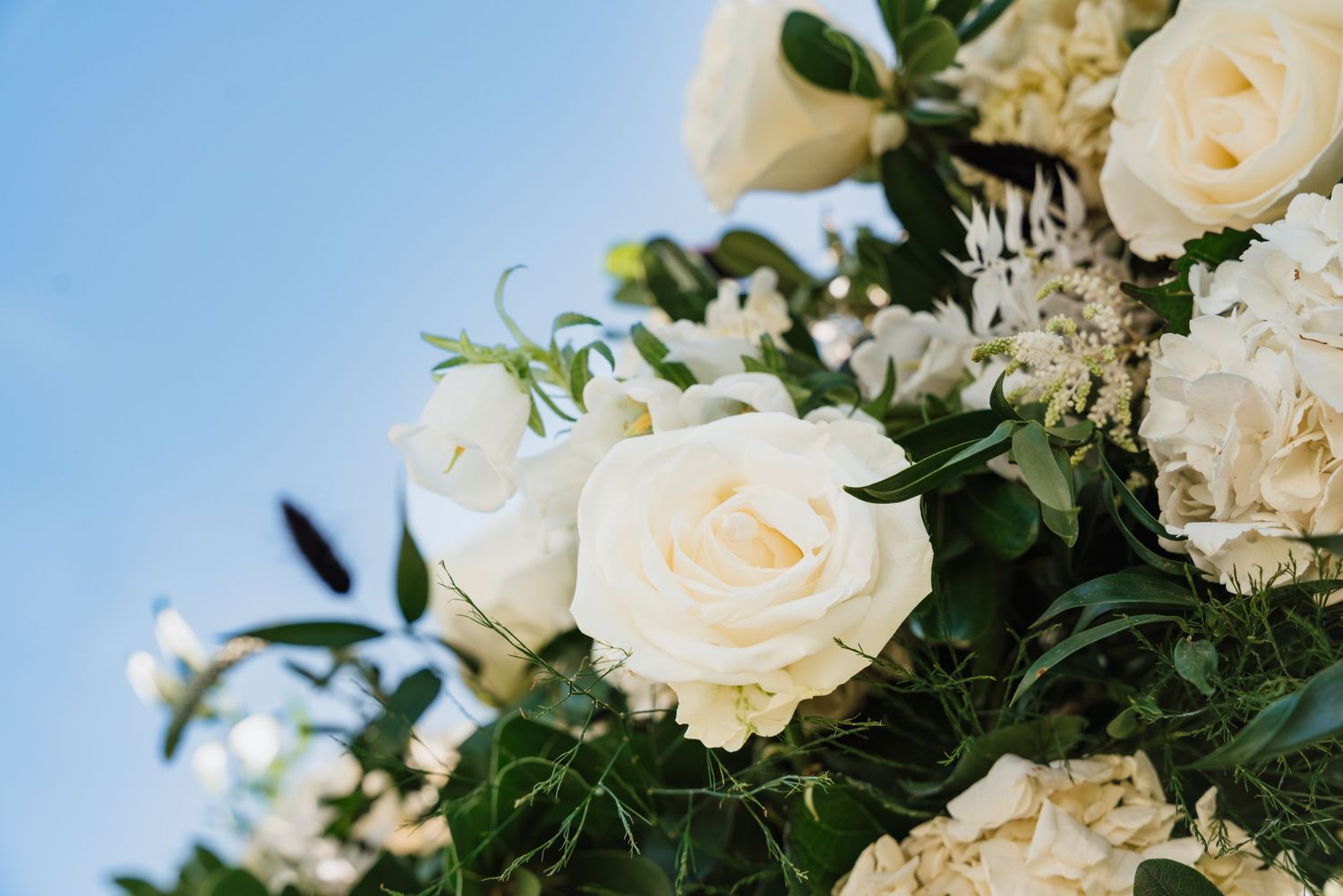 Beautiful white roses and green foliage wedding floral arrangement against blue sky.