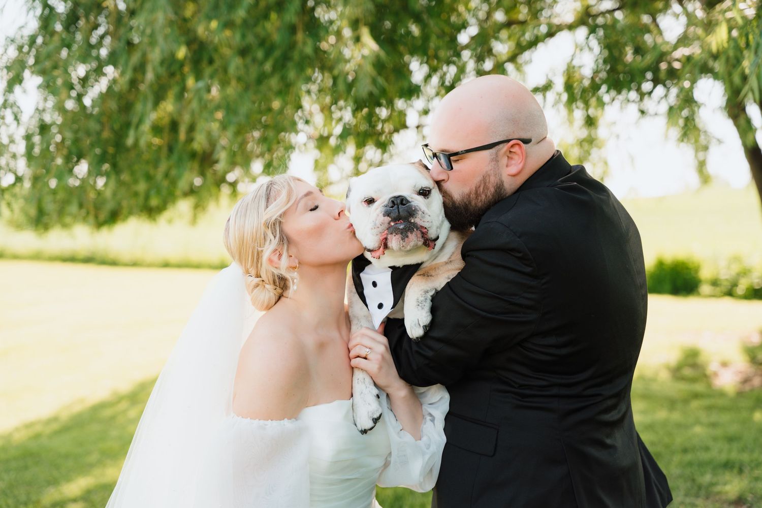 Bride and groom kiss their white bulldog dressed in a tuxedo under a shady tree.