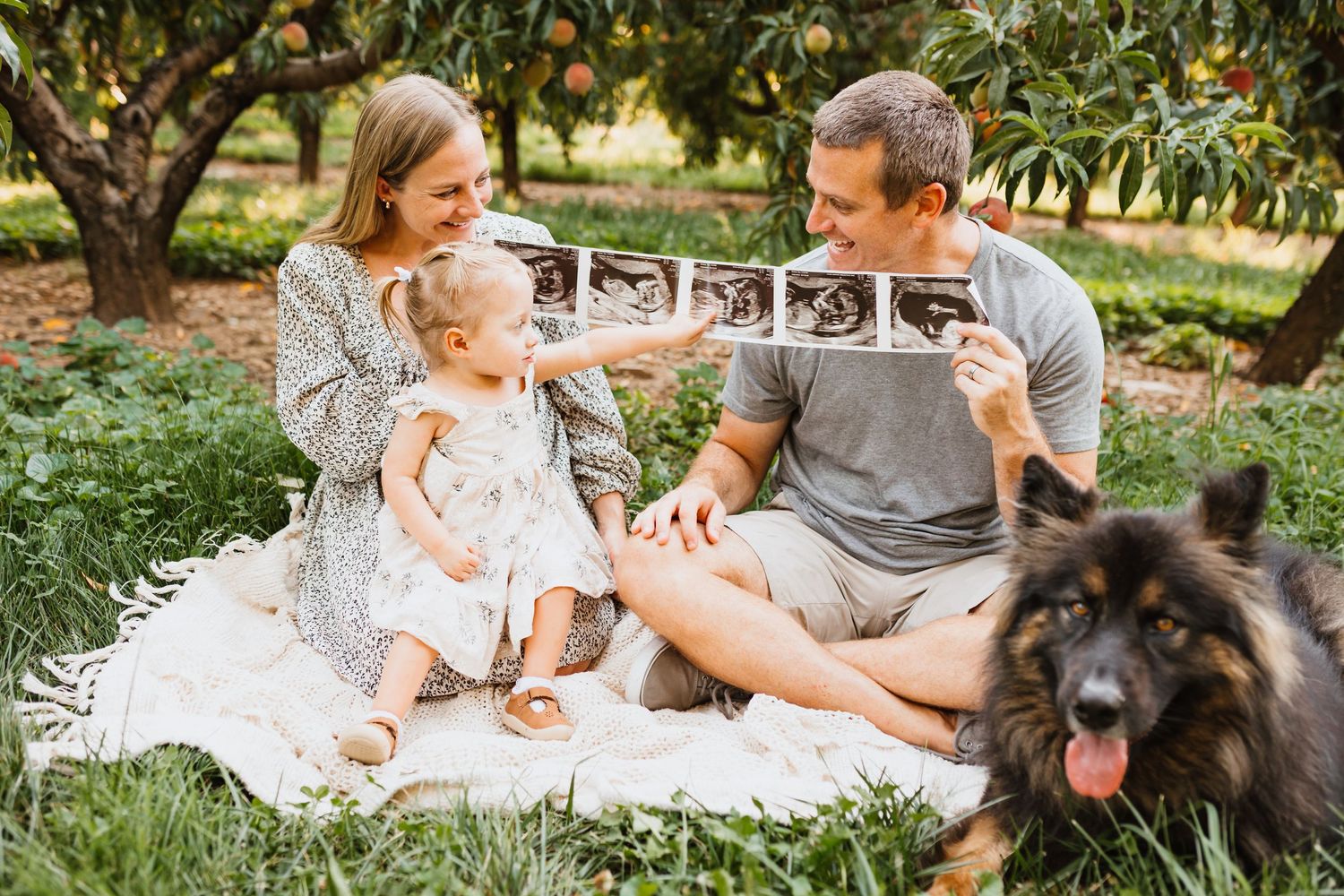 Family sitting in an orchard revealing pregnancy ultrasound photos with their fluffy dog.