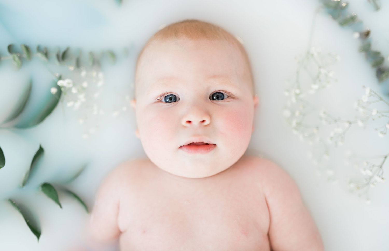 Sweet baby with blue eyes looking up from floral milk bath surrounded by eucalyptus and baby's breath.