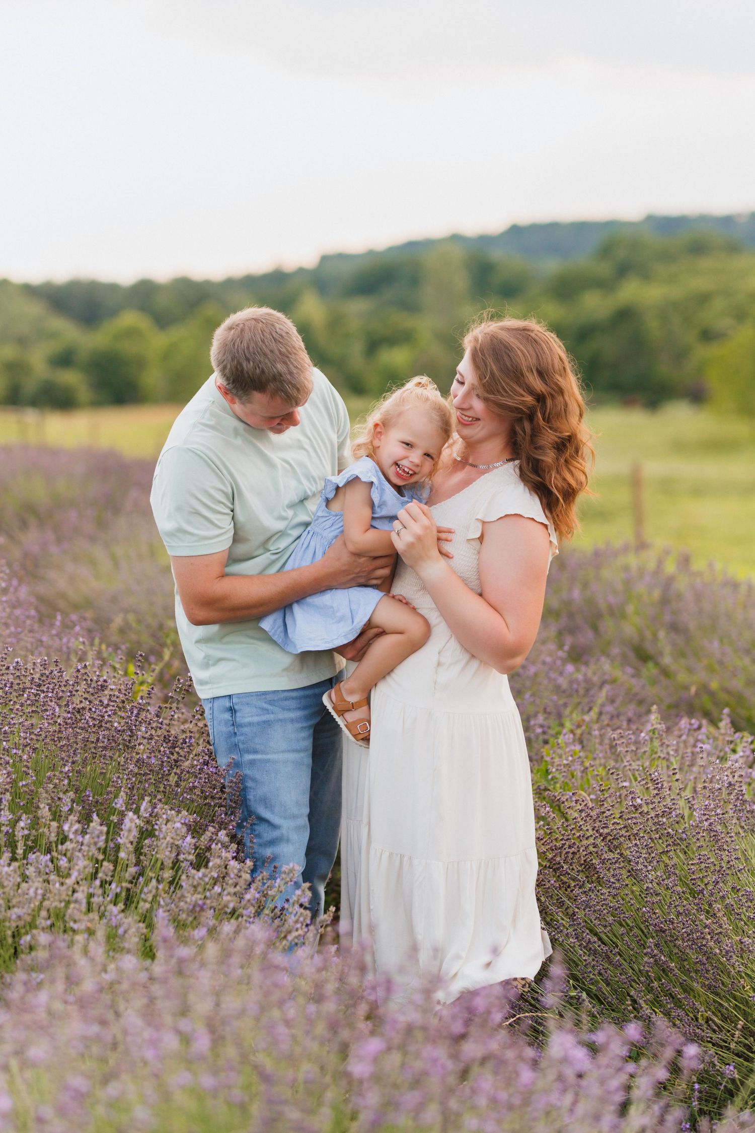 Happy family with toddler laughing together in blooming purple lavender field at sunset.