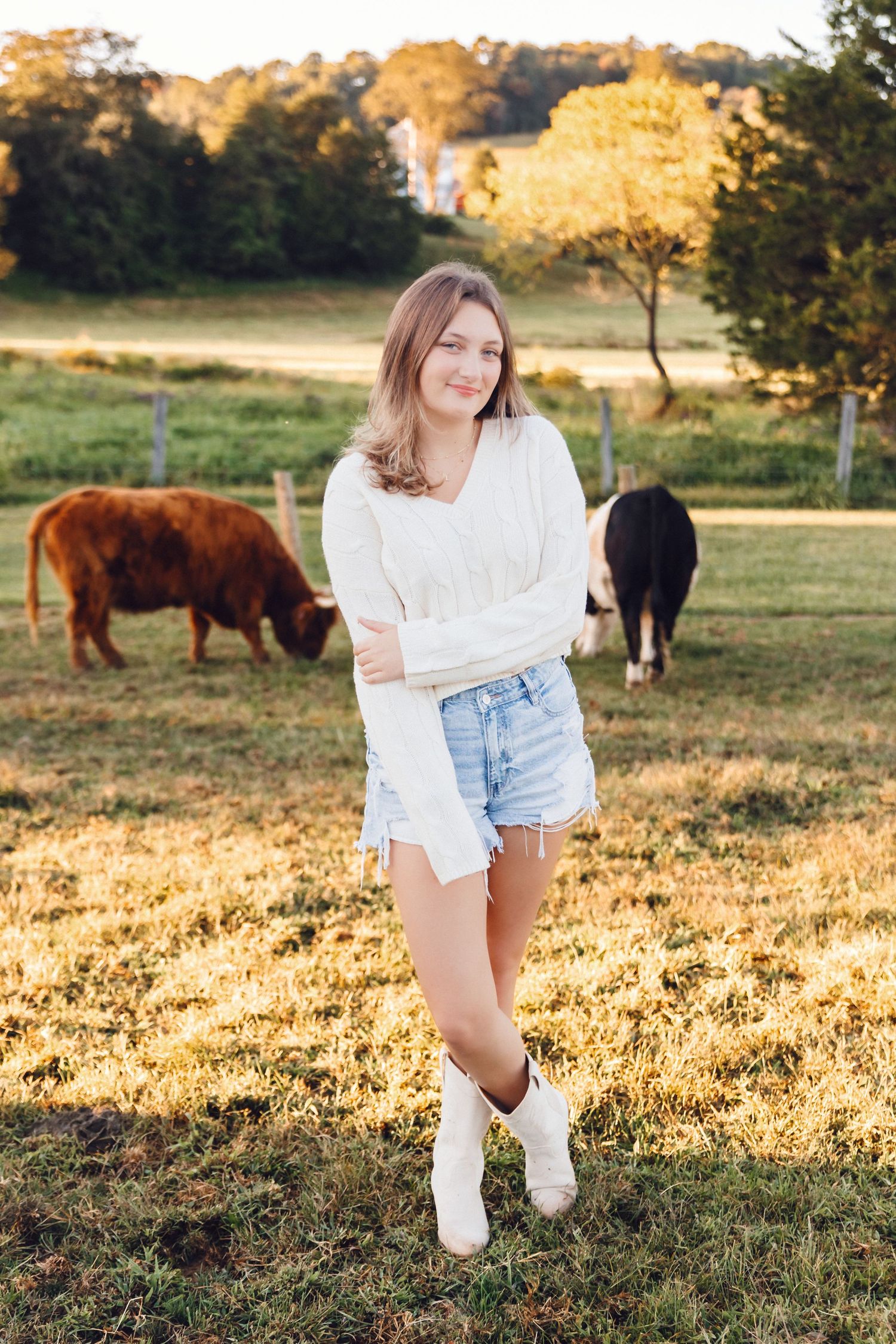 Teen girl in white sweater and denim shorts posing in golden sunlit field with grazing cows.