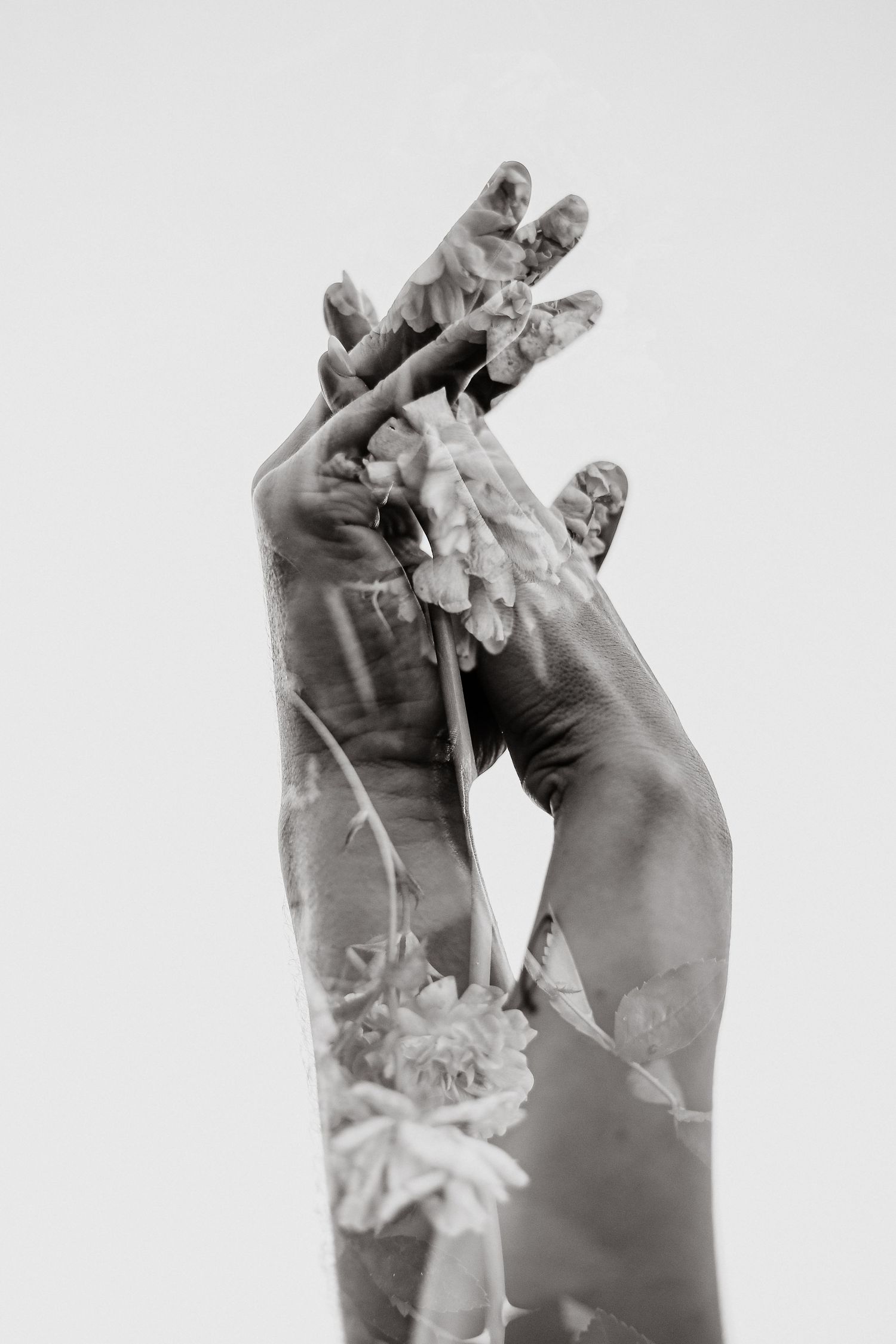 Black and white double exposure of two graceful raised hands overlaid with delicate flowers against a plain background.