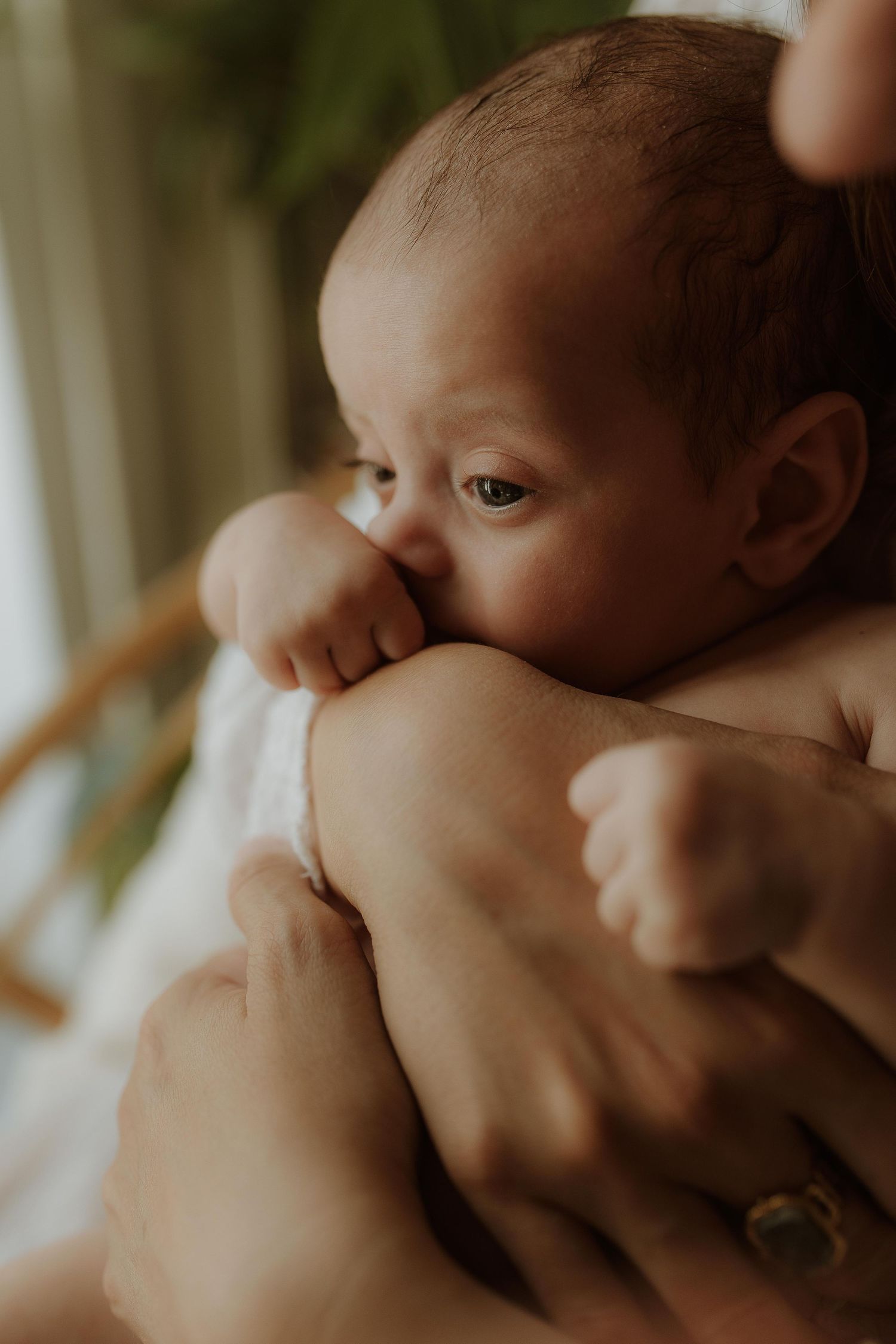 Close-up of a sleepy newborn baby with tiny hands near its mouth, cradled in a parent's arms by a sunlit window.