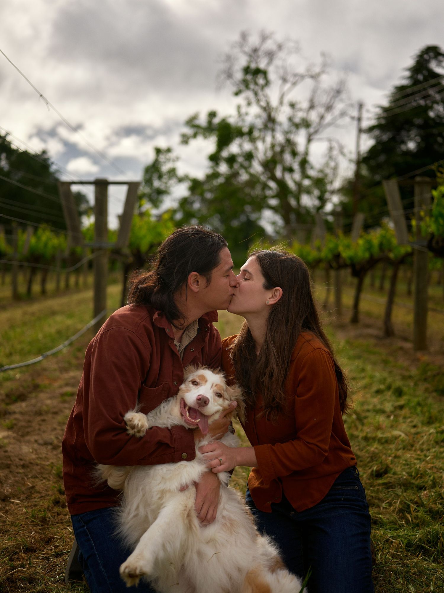 A couple in rust-colored shirts kiss in a vineyard while holding a happy white and brown Australian shepherd dog.