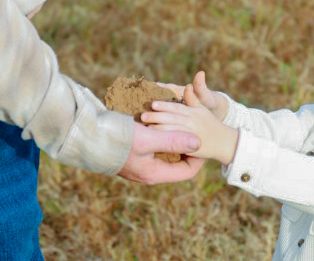 A child's hand reaches toward an adult's hand holding a clump of dry soil in an outdoor grassy field.