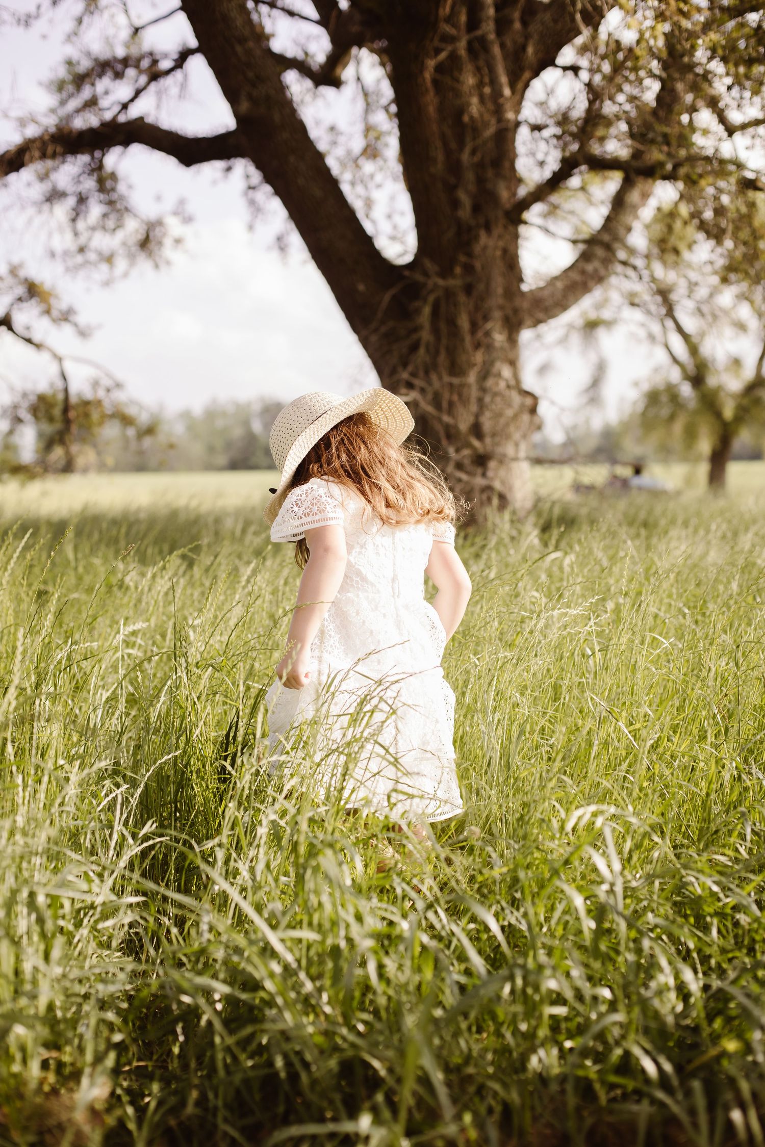 Girl in a white dress and straw hat walks through tall green grass toward a large tree in a sunny meadow.
