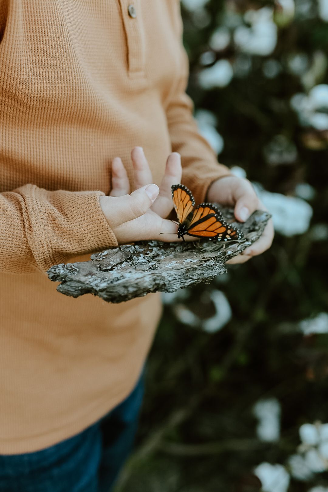 A child in an orange waffle-knit shirt holds a piece of tree bark with an orange monarch butterfly resting on it.
