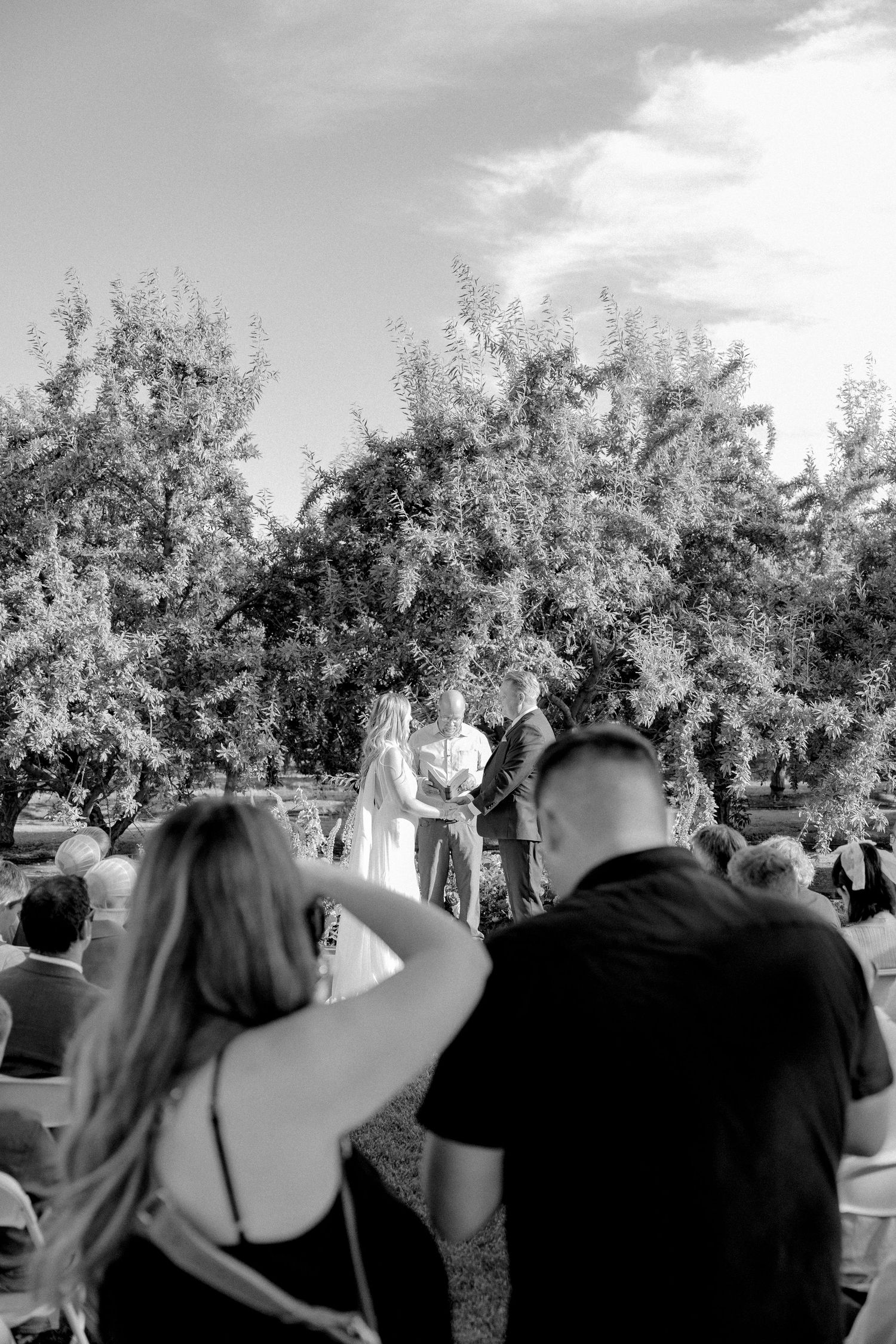 Wedding guests stand in a row outdoors taking photos of a ceremony under trees in black and white.