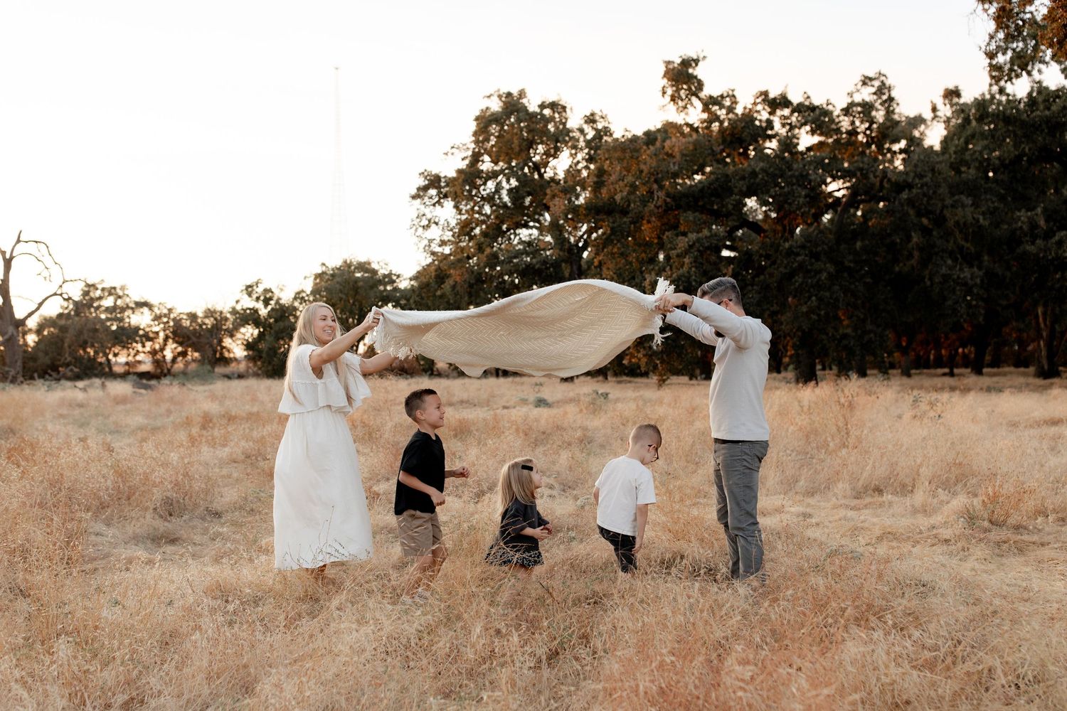 Family of five playing with a blanket in a golden field at sunset, surrounded by oak trees.