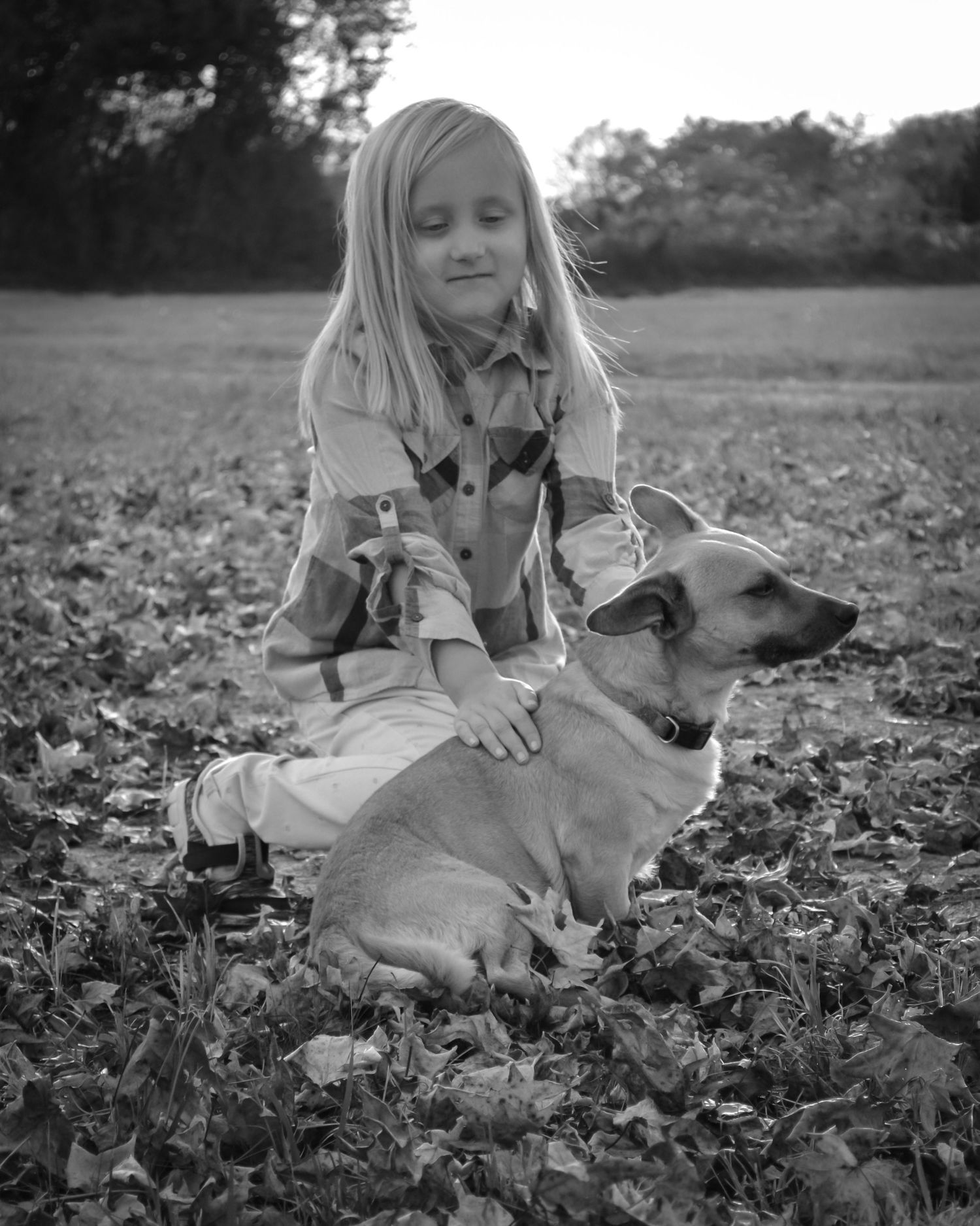 Beautiful outdoor natural light photo of a girl and her dog - lifestyle session