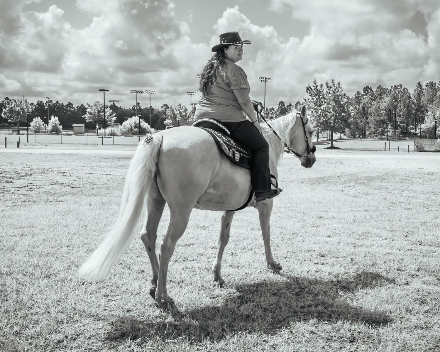 Beautiful outdoor natural light equine photography featuring horse and rider at horse show