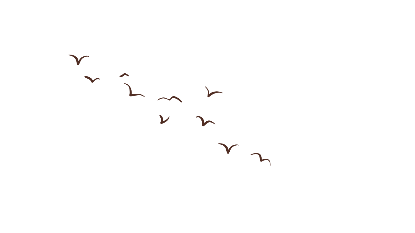 Diagonal line of flying birds silhouetted against dark sky.