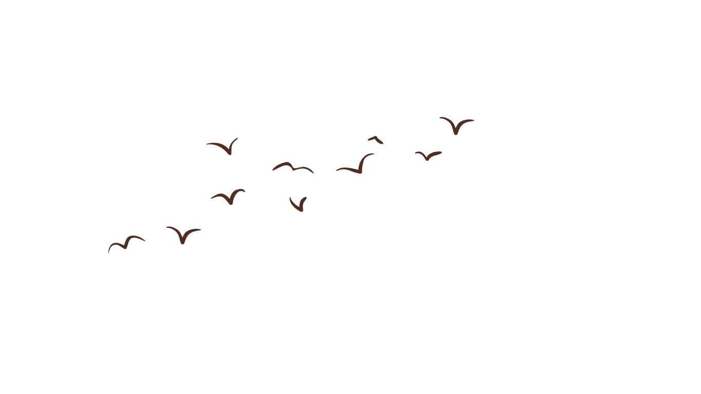 Silhouettes of birds flying in formation against a dark sky.