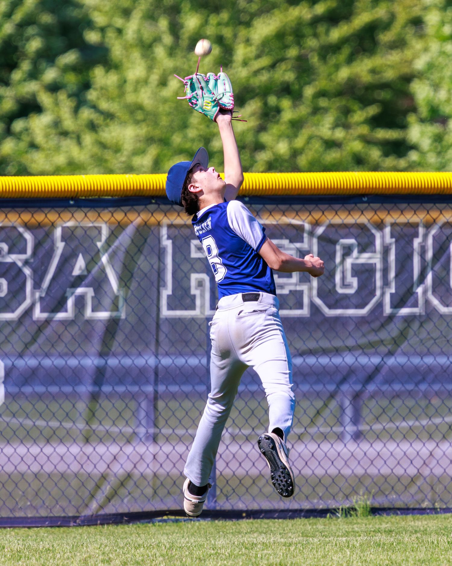 Young baseball outfielder leaps to catch a fly ball during a Little League regional tournament game.