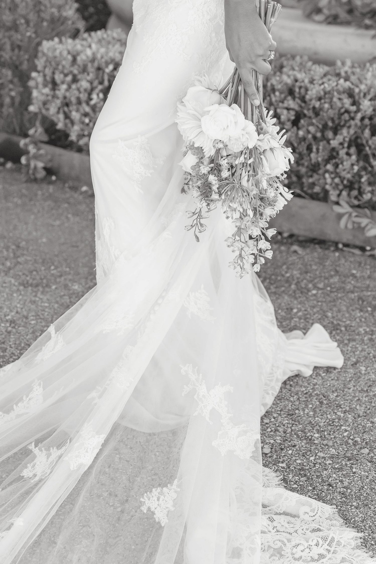 couple, family and wedding photography