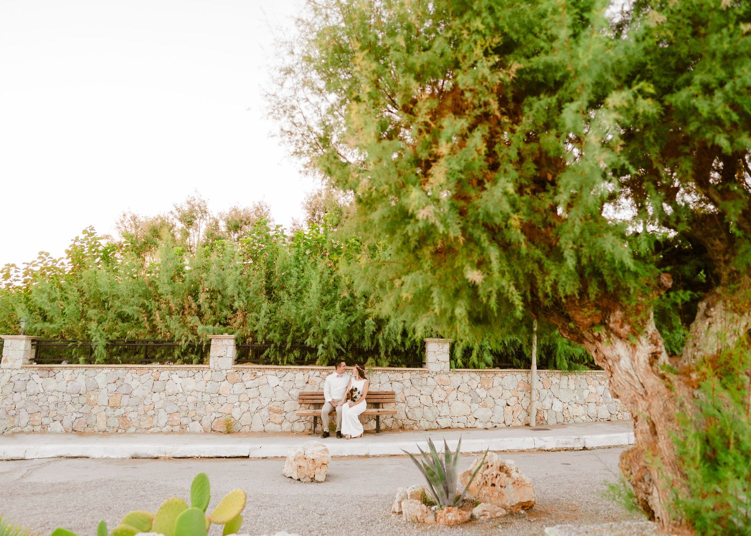 Naturlandschaftlicher Blick auf tropische Pflanzen und Steinwege in einer Gartenumgebung. Hochzeiten Griechenland - Hochzeitsfotograf Rhodos