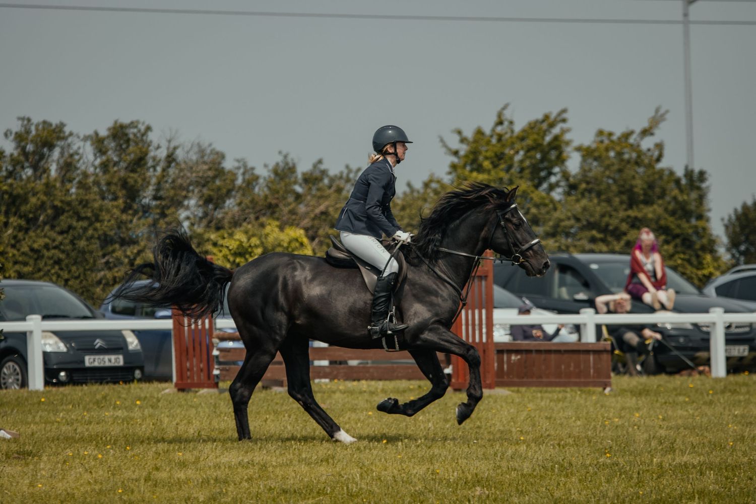 Equestrian riding a black horse in formal competition attire jumps over red and white poles on a grassy field.
