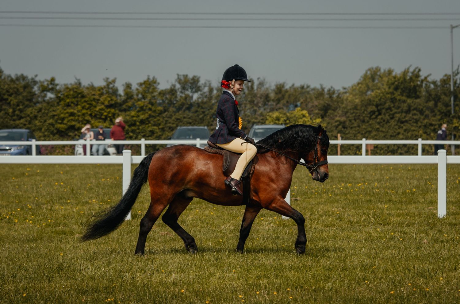 Rider performing dressage movements on a bay horse in an enclosed arena with white railings.