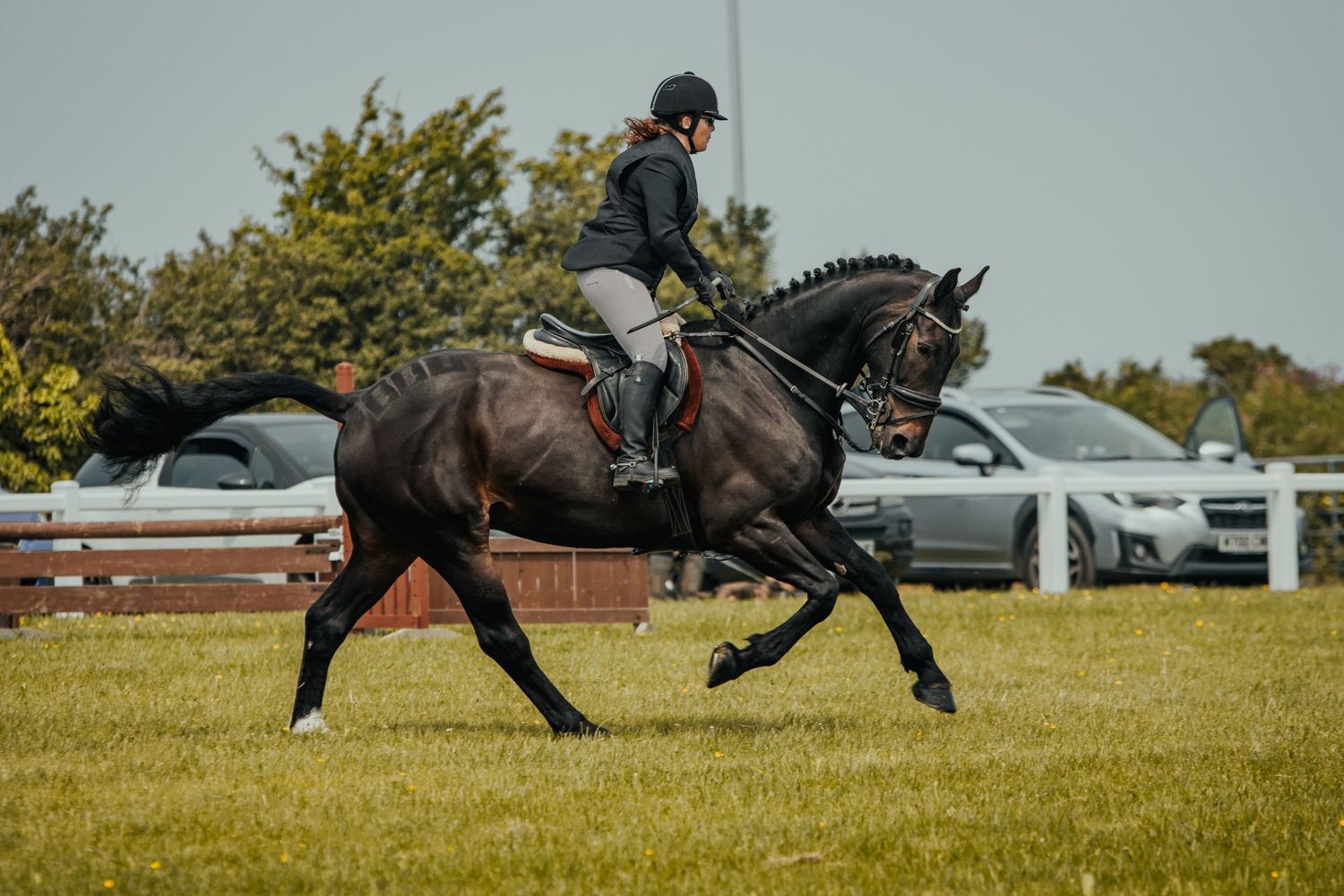 Black horse performing extended trot with rider in formal attire during competition.